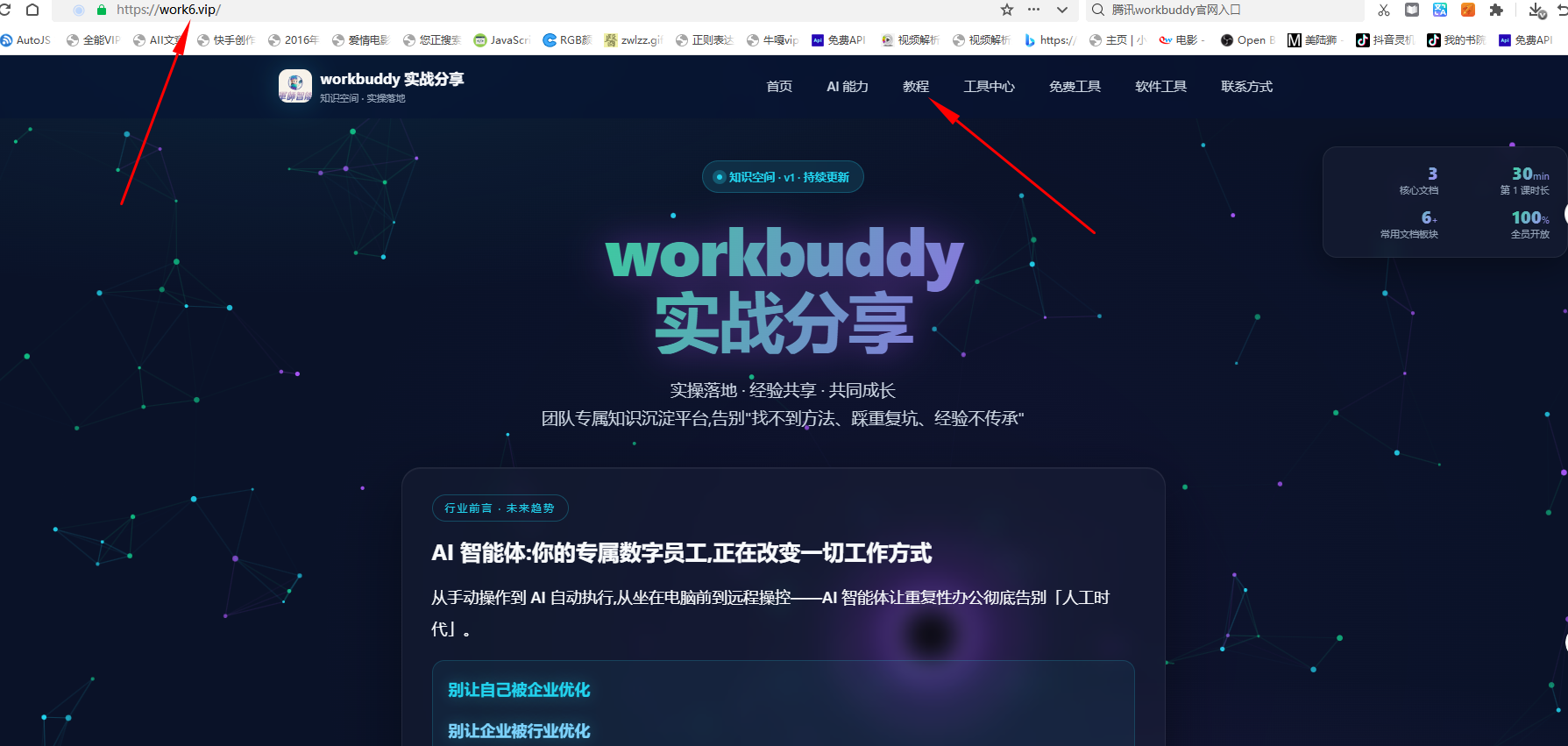 截图：在浏览器输入 work6.vip